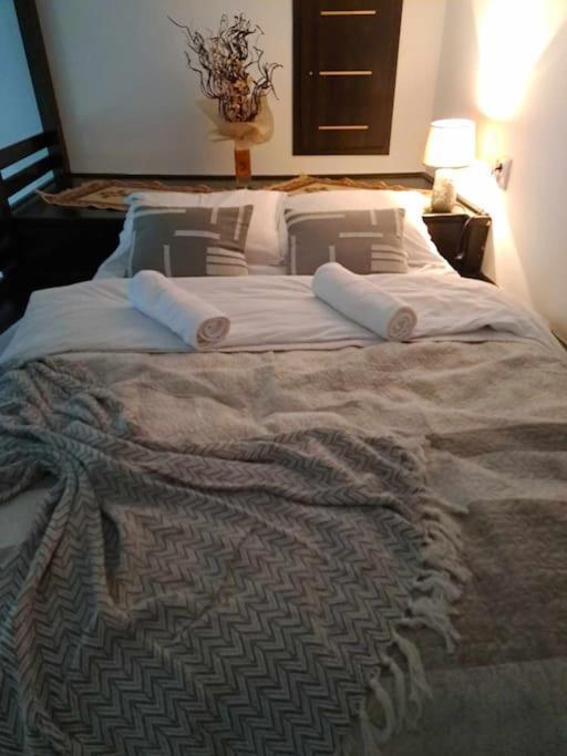 Sofia'S Home Comfy Studio In The Old Town Брашов Екстериор снимка