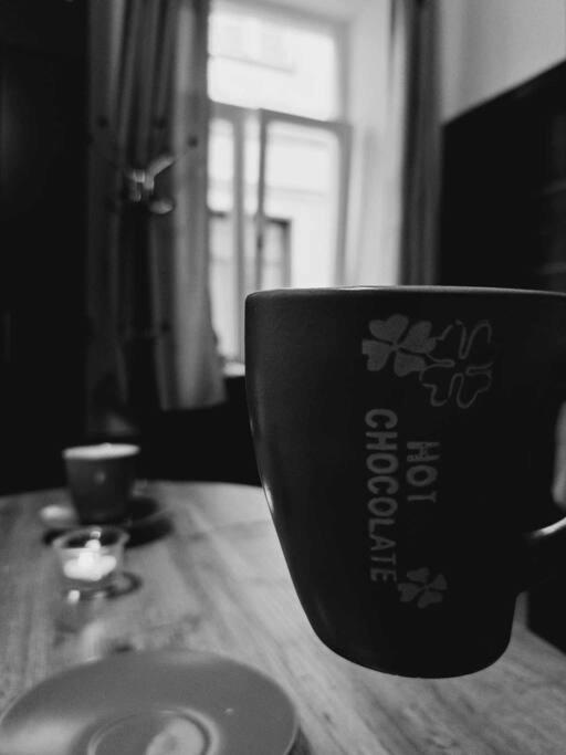 Sofia'S Home Comfy Studio In The Old Town Брашов Екстериор снимка